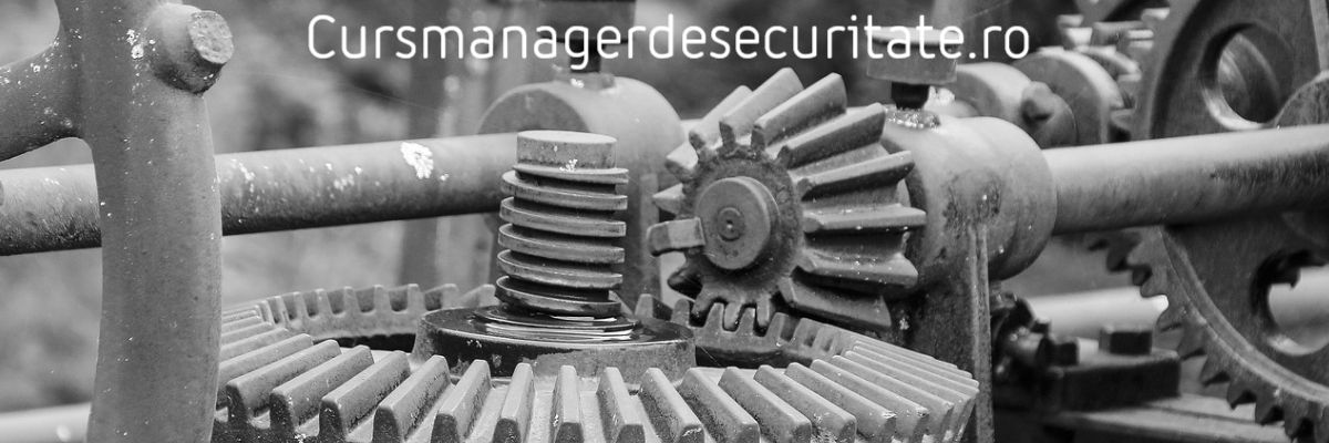 cursmanagerdesecuritate.ro